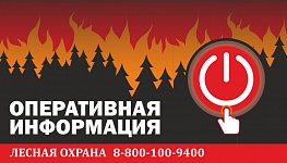 Федеральная информационная противопожарная кампания «Останови огонь!»