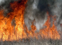 Памятка  о запрете сжигания сухой травы