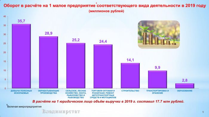 Основные итоги работы субъектов малого предпринимательства Владимирской области за 2019год